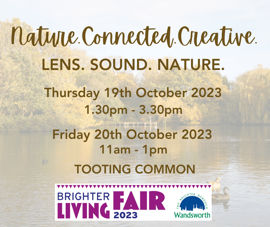 Forest Bathing with Amy Adams on 19th and 20th October 